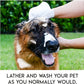 🔥Rinse-Free Dog Shampoo Mitts – Hypoallergenic Pet Bath Wipes, 6 Packs