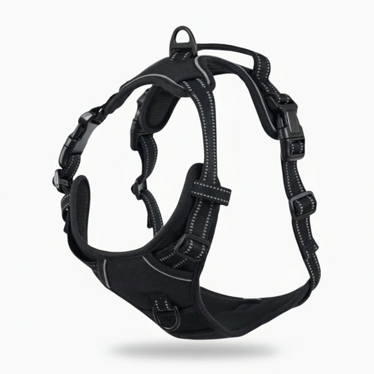 Anti-pull harness