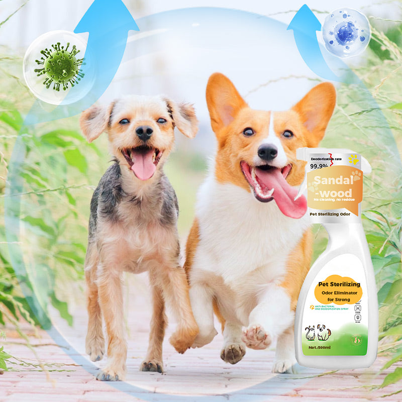 Środek do usuwania nieprzyjemnych zapachów po sterylizacji zwierząt domowych