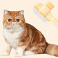 Peigne Portable de Nettoyage pour Poils d'Animaux de Compagnie