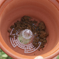 🌿 49% OFF NOW! 🔥 Premium 3D Cone Pot Base – Prevents Root Rot, Boosts Drainage & Airflow for Healthier Plants🌳
