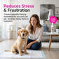 Pet Potty Training Spray for Dogs & Cats