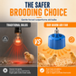 🥳2026 HOT SALE🥳💞50K+ SOLD! 🐥🔥 50% OFF! Intelligent Brooder Heater – digital temp control & forced-air circulation for even warmth. E27 screw-in, for chicks & small animals. Safe & compact! 🛡️✅