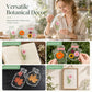 DIY Transparent Dried Flower Bookmark Set